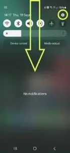 Showing how to find the settings cog