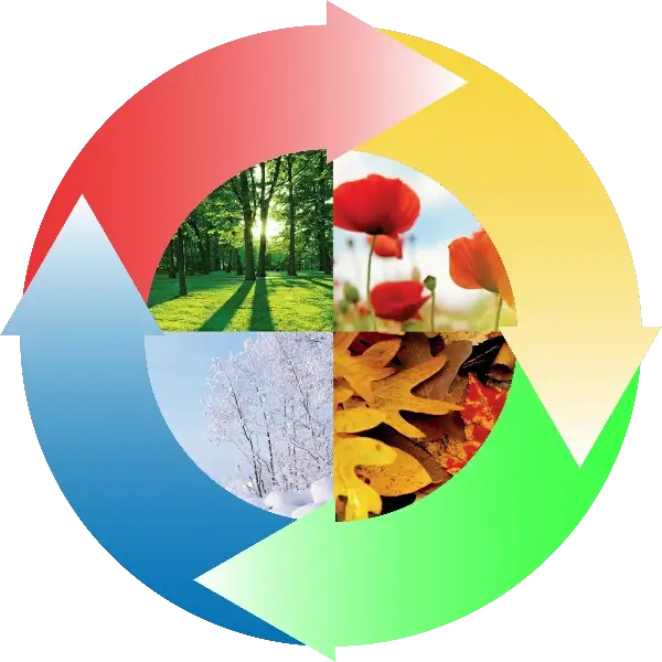 Renewal4Seasons.webp